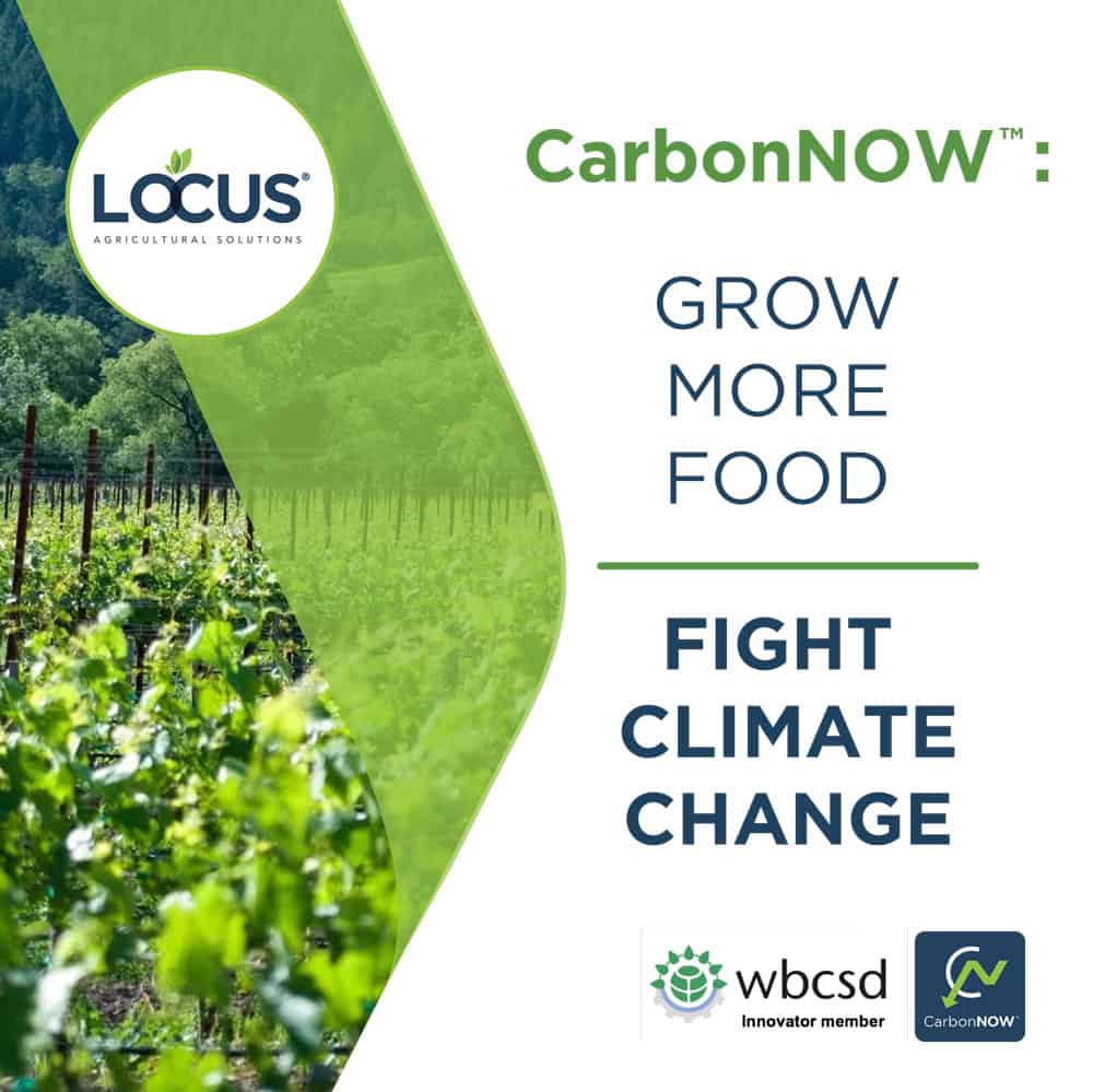 carbonnow-grow-more-food-fight-climate-change-bold-awards