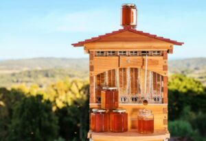 A top 10 reward crowdfunding project of all time, Flow Hive