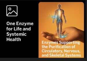 One Enzyme for Life