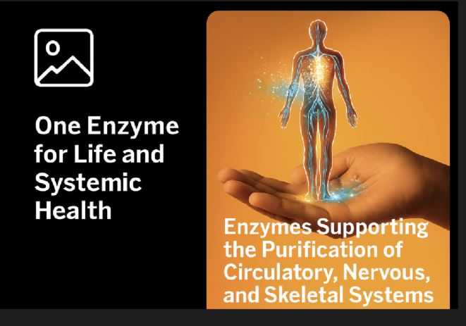 One Enzyme for Life