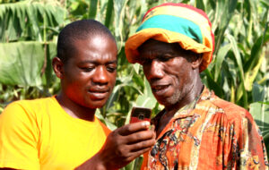 Image of African farmers studying a cellphone which can handle stablecoin payments in 2026