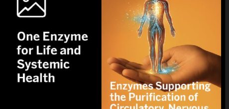 One Enzyme for Life
