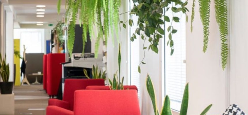 Soho-Office-Seating
