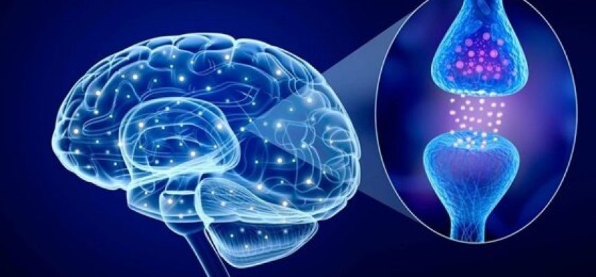 brain-technology